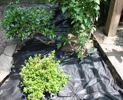 The Different Types Of Landscape Fabric And How To Use Them