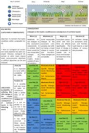 qualitative risk analysis consequence x likelihood perseus