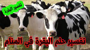 Maybe you would like to learn more about one of these? Ø­Ù„Ù… Ø§Ù„Ø¨Ù‚Ø±Ø© Ù„Ù„Ù…ØªØ²ÙˆØ¬Ø© ÙˆØ§Ù„Ø¹Ø²Ø¨Ø§Ø¡ ØªÙØ³ÙŠØ± Ø´Ø±Ø§Ø¡ Ø§Ù„Ø¨Ù‚Ø± ÙÙŠ Ø§Ù„Ù…Ù†Ø§Ù… Ù„Ù„Ø±Ø¬Ù„ Ø­Ù„Ù… Ø§Ù„Ø¨Ù‚Ø±Ø© ØªÙ„Ø§Ø­Ù‚Ù†ÙŠ ÙÙŠ Ø§Ù„Ù…Ù†Ø§Ù… Youtube