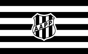 Associação atlética ponte preta information, including address, telephone, fax, official website, stadium and manager. Ponte Preta