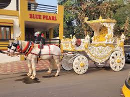 Top Horses On Hire in Navsari - Best Ghodi On Hire near me - Justdial