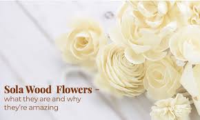How to use sola wood flowers. Sola Wood Flowers What They Are And Why They Re Amazing Global Dried Flowers
