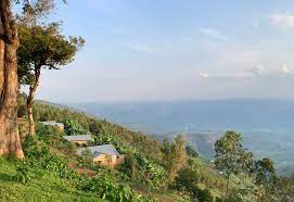 A fate similar to many others in that bloody spring. Learning And Teaching Medicine In Rwanda Part Ii Scope