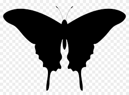 If you want to use this image on holiday posters, business flyers, birthday invitations, business coupons, greeting cards, vlog covers, youtube videos, facebook / instagram marketing etc, please contact the uploader. Butterfly Silhouette Drawing Lepidoptera Butterfly Silhouette Hd Png Download 1085x750 1117358 Pngfind