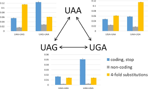 Three dna nucleotides form a codon and specifiy amino acids. Purifying And Positive Selection In The Evolution Of Stop Codons Scientific Reports