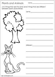 Plant And Animal Needsworksheets First Grade Science Kindergarten Science Science Classroom