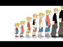 So 18 years old is about when most males reach full height. Human Growth Facts When Do You Stop Growing Youtube