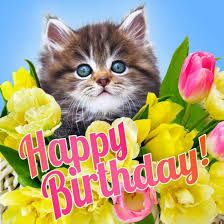 Maybe you would like to learn more about one of these? 93 Birthday Cats Ideas In 2021 Cat Birthday Happy Birthday Cat Happy Birthday Images