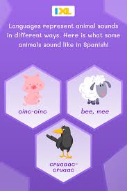 Learn New Animal Noises In Spanish Sundayspanish Animal Sounds Spanish Language
