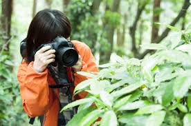 触った だけで かぶれ る 意外と知らない山のキケン植物図鑑 Yama Hack