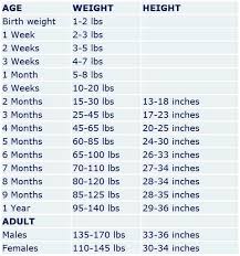 24 precise weight chart for german shepherd puppies