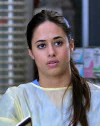 Characters in Grey's Anatomy Supporting Characters