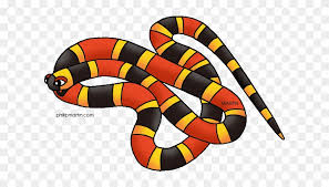 We did not find results for: Toucan Clipart Rainforest Snake Rainforest Animals Clipart Free Transparent Png Clipart Images Download