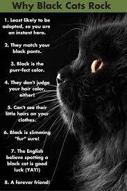 Hand drawn christmas card with cute funny cartoon black cat. Wordless Wednesday Blog Hop Black Cat Appreciation Day Blogpaws Black Cats Rock Black Cat Appreciation Day Cats