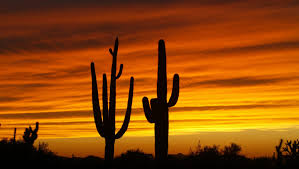 Huge collection, amazing choice, 100+ million high quality, affordable rf and rm images. Why Are Arizona Sunsets So Dramatic