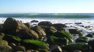 Tide Pools At El Capitan State Beach Outdoor Gear Review Day Trips Trip
