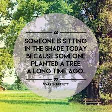 Someone Is Sitting In The Shade Today Because Someone Planted A Tree A Long Time Ago Mondaymotivation Inspirational Quotes Inspirationa Plants Shades Tree
