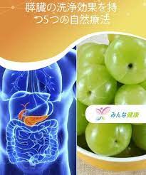 膵臓の洗浄効果を持つ5つの自然療法 あなたは自然の力を使って膵臓を洗浄することができると知っていましたか 膵臓はお腹の下の方に位置する腺です 胃 自然療法 膵臓 健康
