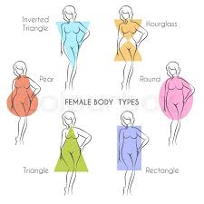 Find out with the body type test. Female Body Types Anatomy Main Woman Stock Vector Colourbox