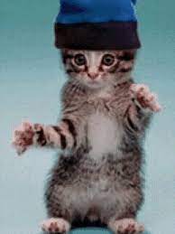 Check spelling or type a new query. Walpaper Bergerak Posted By Christopher Anderson