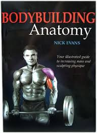 Even so, the books listed here should cover everything required for the average medical anatomy for example, there are tables with information about the origin, insertion, and innervation of various muscles. Book Bodybuilding Anatomy At Bodybuilding Com Best Prices For Bodybuilding Anatomy Bodybuilding Com