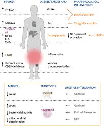 Platelet–Neutrophil Interaction and Thromboinflammation in Diabetes:  Considerations for Novel Therapeutic Approaches | Journal of the American  Heart Association