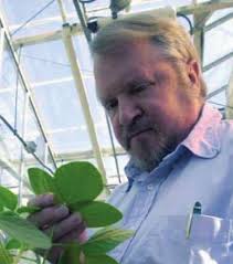 Advancing Ohio State Plant Pathology to National Prominence (1984–2005)
