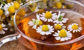 Teh chamomile telah lama digunakan, sebagai obat tradisional, untuk berbagai masalah kesehatan. Beberapa Khasiat Teh Chamomile Untuk Kesehatan Tubuh Page 1 Of 2 Winnetnews Com