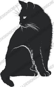 Black And White Cat Drawing Png Pin On Cat Art