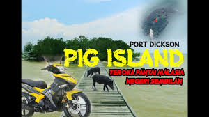 Tpm Eps 9 Negeri Sembilan Pulau Babi Portdickson Youtube