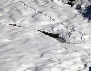 Schneekristalle Am Stottlbach Ab 12 Grad Zeichnen Sie Herrliche Bilder Mieming Online