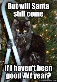 Pin By Carol Grabitske Fetzer On Black Cats Cute Cat Memes Christmas Cat Memes Cat Memes