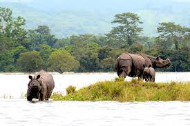 Kaziranga National Park Wikipedia Map showing the wildlife sanctuaries and national parks of kerala. kaziranga national park wikipedia