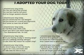 I Started Crying Please Don T Abandon A Family Member Once You Let Them Into Your Home They Stay Forever Until The Very End Rescue Quotes Dog Quotes Dogs