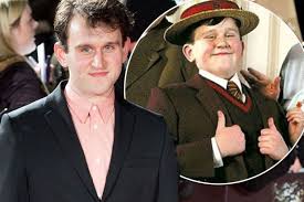 He is best known for playing dudley dursley in the harry potter films, based on the fantasy novels of the same name by j. Harry Potter S Dudley Dursley Is All Grown Up Actor Harry Melling Shows Off Weight Loss At New Movie Premiere Mirror Online