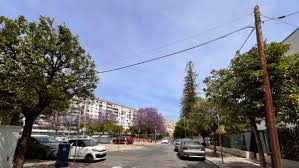 Sevilla Actualidad - News update