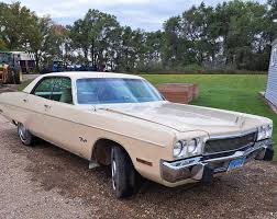 Image result for Chestnut 1973 Fury