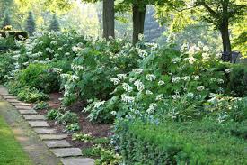 Garden Design Basics 11 Steps To A Better Backyard Garden Design Low Maintenance Landscaping Front Yard Landscape Design