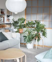Easy Tips On How To Start Spring Early With Plants In 2021 Plant Stand Indoor Living Room Plants Plant Stand