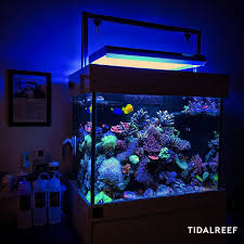 Your Reef And Your Lights Page 8 Reef2reef Saltwater And Reef Aquarium Forum