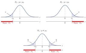 For A Person Being From A Non Statistical Background The Most Confusing Aspect Of Statistics Are Always The Fundament Statistics Math Ap Statistics Hypothesis