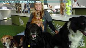 With boarding, grooming, and care for all animals, we're treating your pets like family. Support Staff Student Roles In A Veterinary Clinic Video Lesson Transcript Study Com