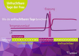 Aber wann ist die fruchtbarste zeit im zyklus der frau? Kann Man Auch An Nicht Fruchtbaren Tagen Schwanger Werden Elpailapass