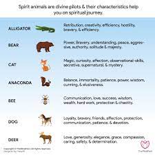 How will u live with yourself ! then the quest started. 102 Spirit Animal List And Their Meanings