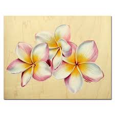 Plumeria 21 Rainbow Yellow Pink Frangipani Tropical Hawaii Flower Colored Pencils Painting Sandrine Curtiss O Flower Drawing Plumeria Flower Tattoos Flower Art