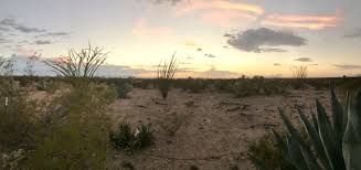 Only hotels in 85747 zip code are listed below. Cactus Country Rv Resort 10195 S Houghton Rd Tucson Az Resorts Mapquest