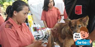 Penyakit rabies di perlis telah dibuat oleh kerajaan. 3 Cara Penanganan Bila Digigit Anjing Rabies Tirto Id