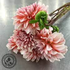 Maybe you would like to learn more about one of these? Austin Same Day Flower And Gift Delivery