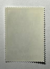 Image result for Disa stairsii