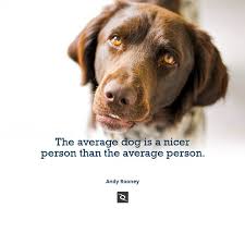 Worldanimalday Sayings About Pets Quotes About Saving Animals Animal Quotes Inspirational Huma Dog Quotes Inspirational Animal Love Quotes Dog Lover Quotes